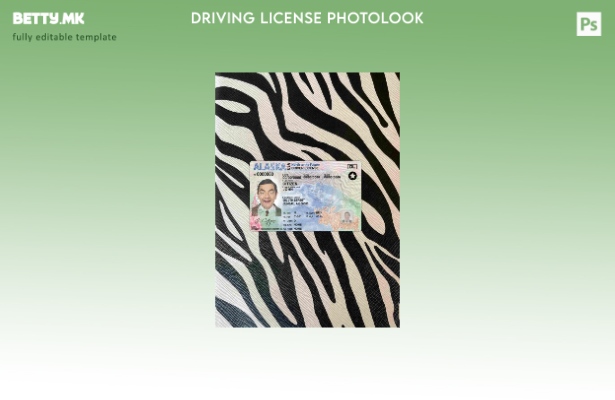 модерен стил USA Alaska DL photolook FRONT шаблон